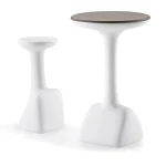 Table Armillaria